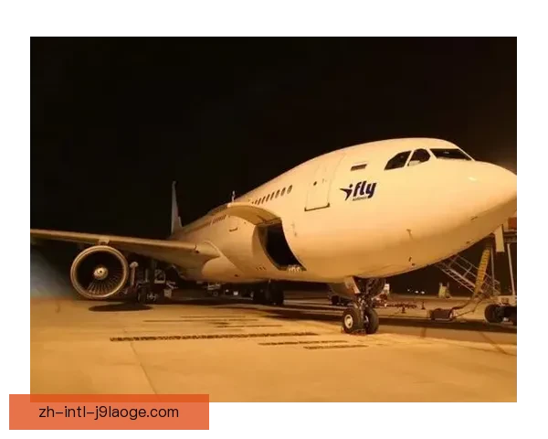 世界杯期间洛杉矶赛区启用空中计程车打造立体交通迎全球球迷潮来 世界杯期间洛杉矶赛区启用空中计程车打造立体交通迎全球球迷潮来